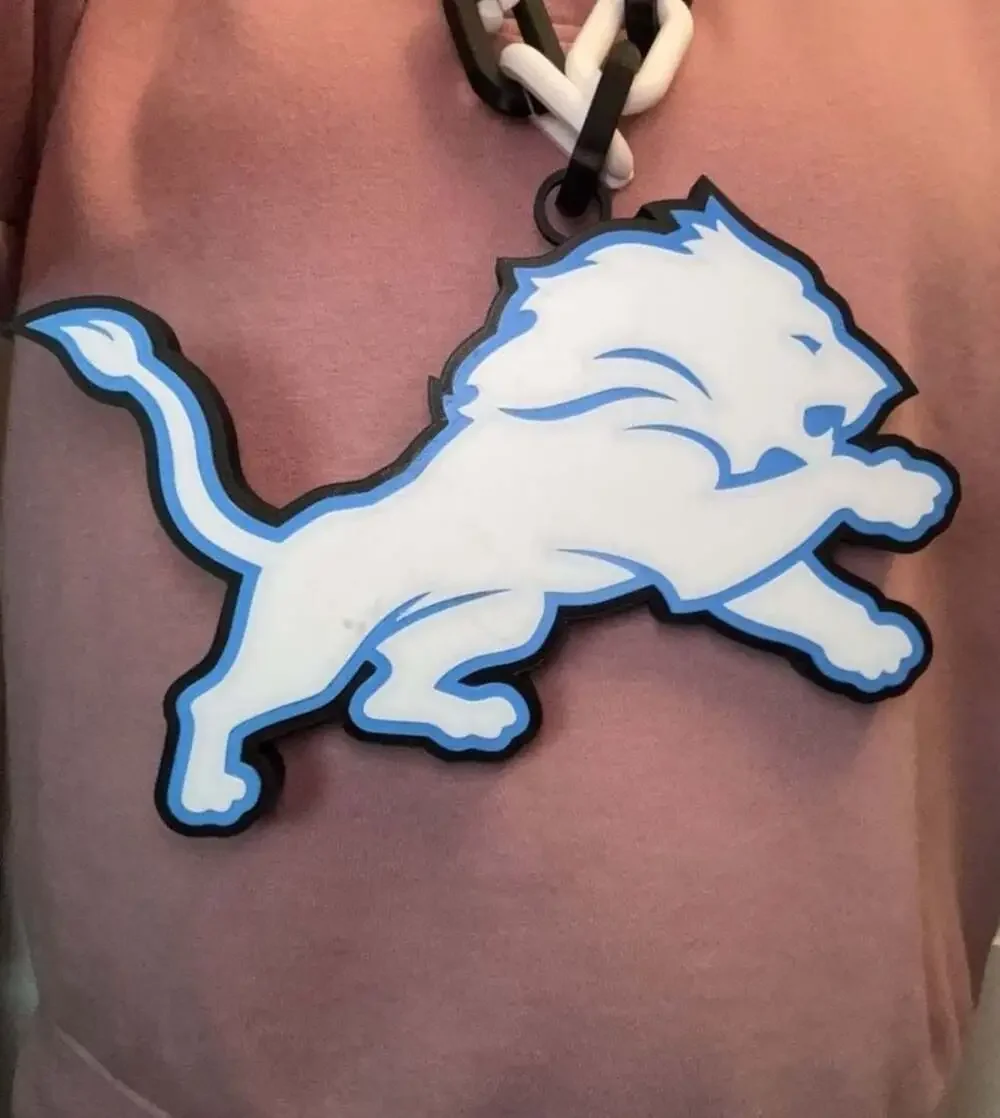 Unbranded detroit lions